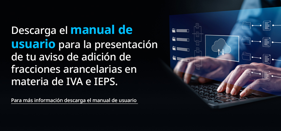MANUAL DE USUARIO IVA e IEPS 2025