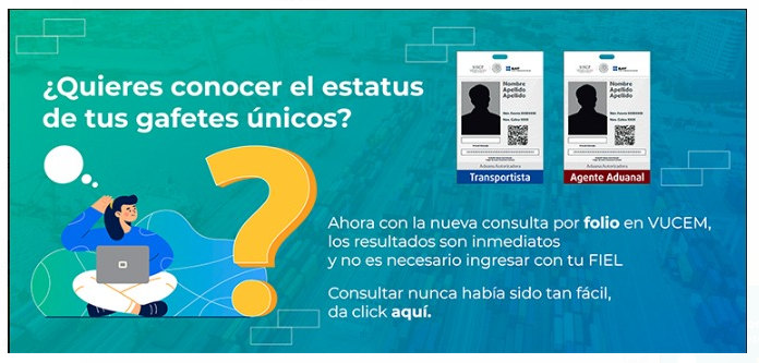 Consulta Instrucciones